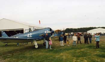 massey-fly-in-web