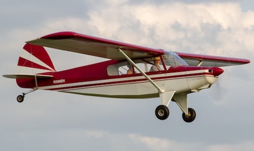 Bearhawk LSA