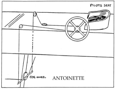 Ant1 Figure 1
